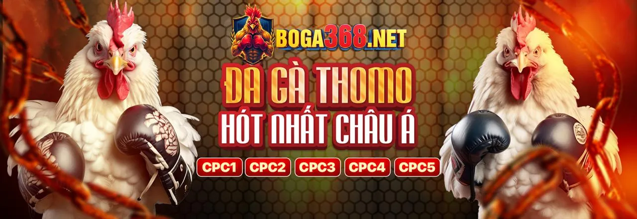 Khuyến Mãi Đá Gà Độc Quyền VB9